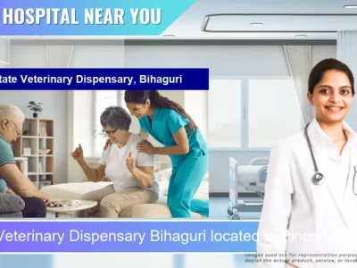 State Veterinary Dispensary Bihaguri located in Pincode 784153 Chahia Pathar