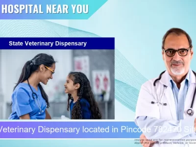 State Veterinary Dispensary located in Pincode 782470 Silanijaan