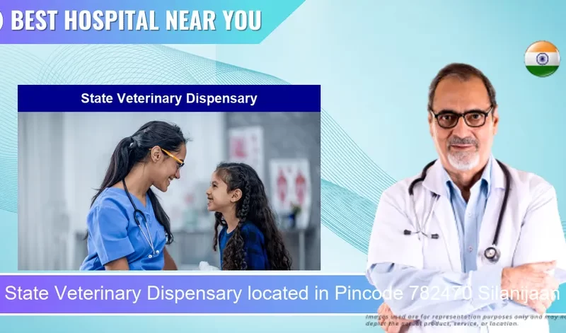 State Veterinary Dispensary located in Pincode 782470 Silanijaan