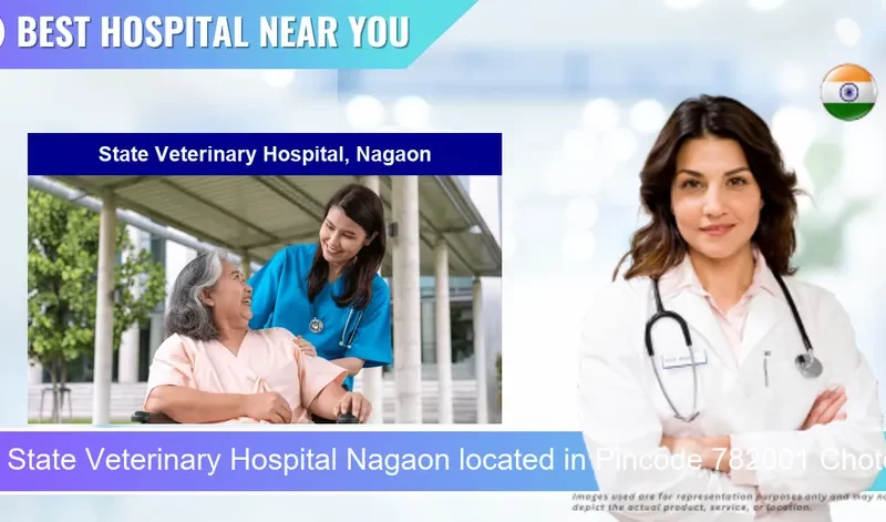State Veterinary Hospital Nagaon located in Pincode 782001 Choto Haibor