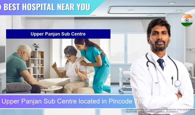 Upper Panjan Sub Centre located in Pincode 782470 Sarthe Engti