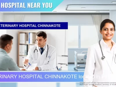 VETERINARY HOSPITAL CHINNAKOTE located in Pincode 563120 Chinnakote
