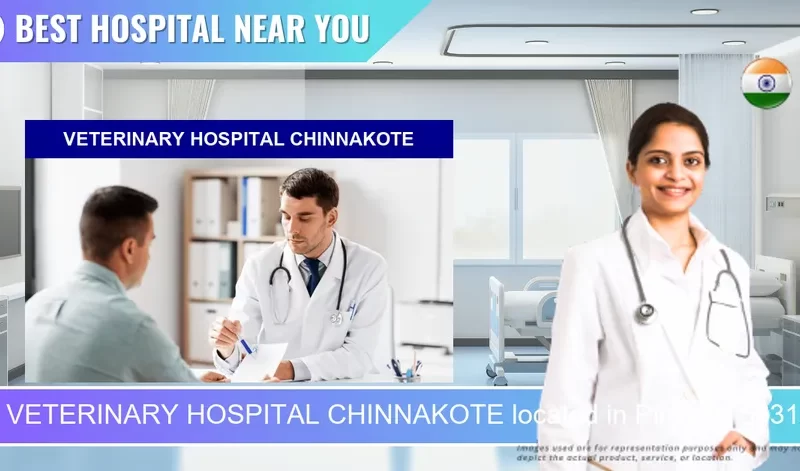 VETERINARY HOSPITAL CHINNAKOTE located in Pincode 563120 Chinnakote