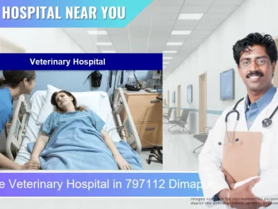 Veterinary Hospital located in Pincode 797112 Dimapur