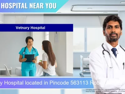 Vetnary Hospital located in Pincode 563113 Robertsonpet