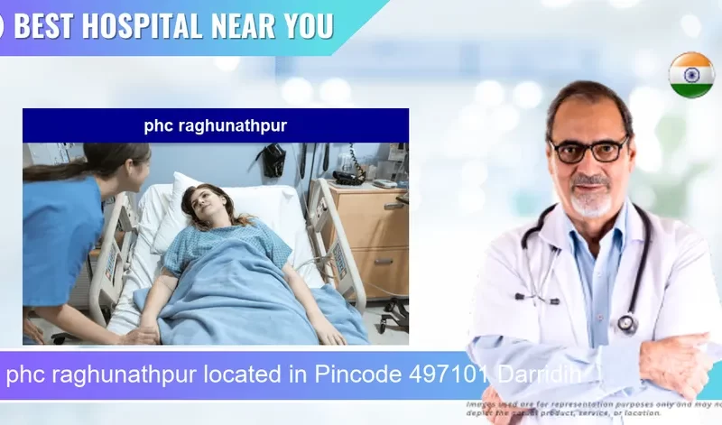 phc raghunathpur located in Pincode 497101 Darridih